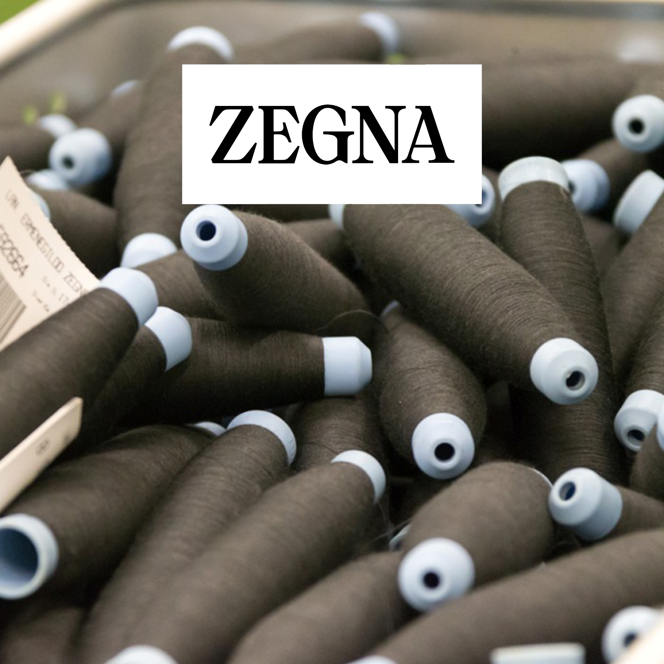 Lanificio Ermenegildo Zegna & Figli spa