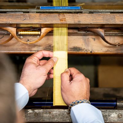 GALLONE_IN_ORO_PH_DINOIA_38