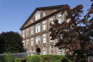 6515585c88d94-mg-9200-low