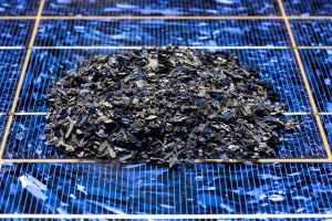 2-1820silicio20bassa20riso