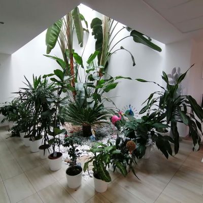 mollificioastigiano15