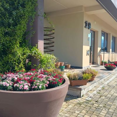 mollificioastigiano9